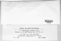 Phomopsis protracta image